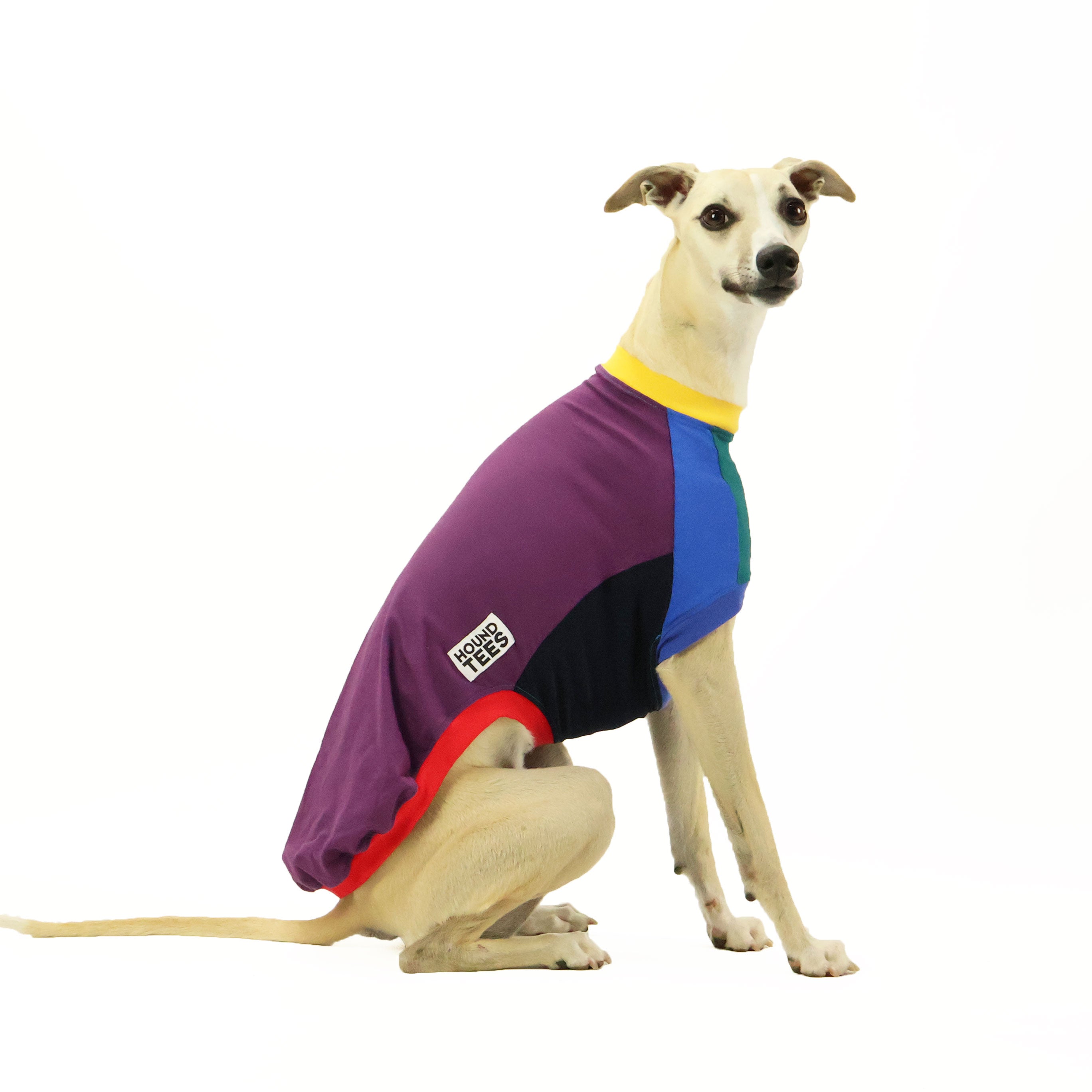 Frankie Jester Whippet Sleeveless Hound Graphic T-Shirt for Dog Lovers - Perfect for Casual Wear, Dog Park Outings & Pet-Themed Parties