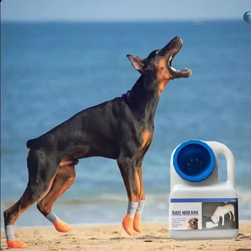 **Istara Portable Dog Water Bottle - Foldable, Splash-Free Pet Feeder & Travel Bowl for Dogs, BPA-Free - Perfect for Hiking, Camping, and Car Rides**