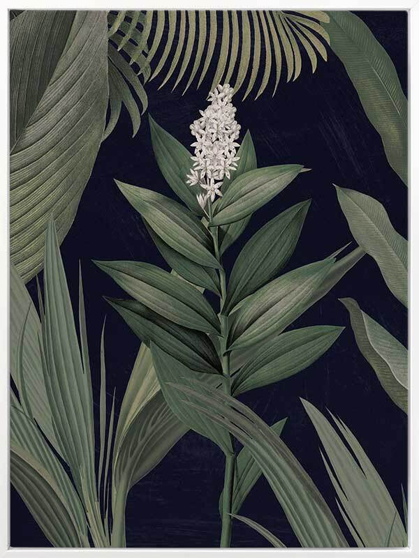 Dark Flora I Canvas Art Print - Modern Botanical Wall Decor for Living Room, Bedroom & Office - Handmade Nature Inspired Artwork