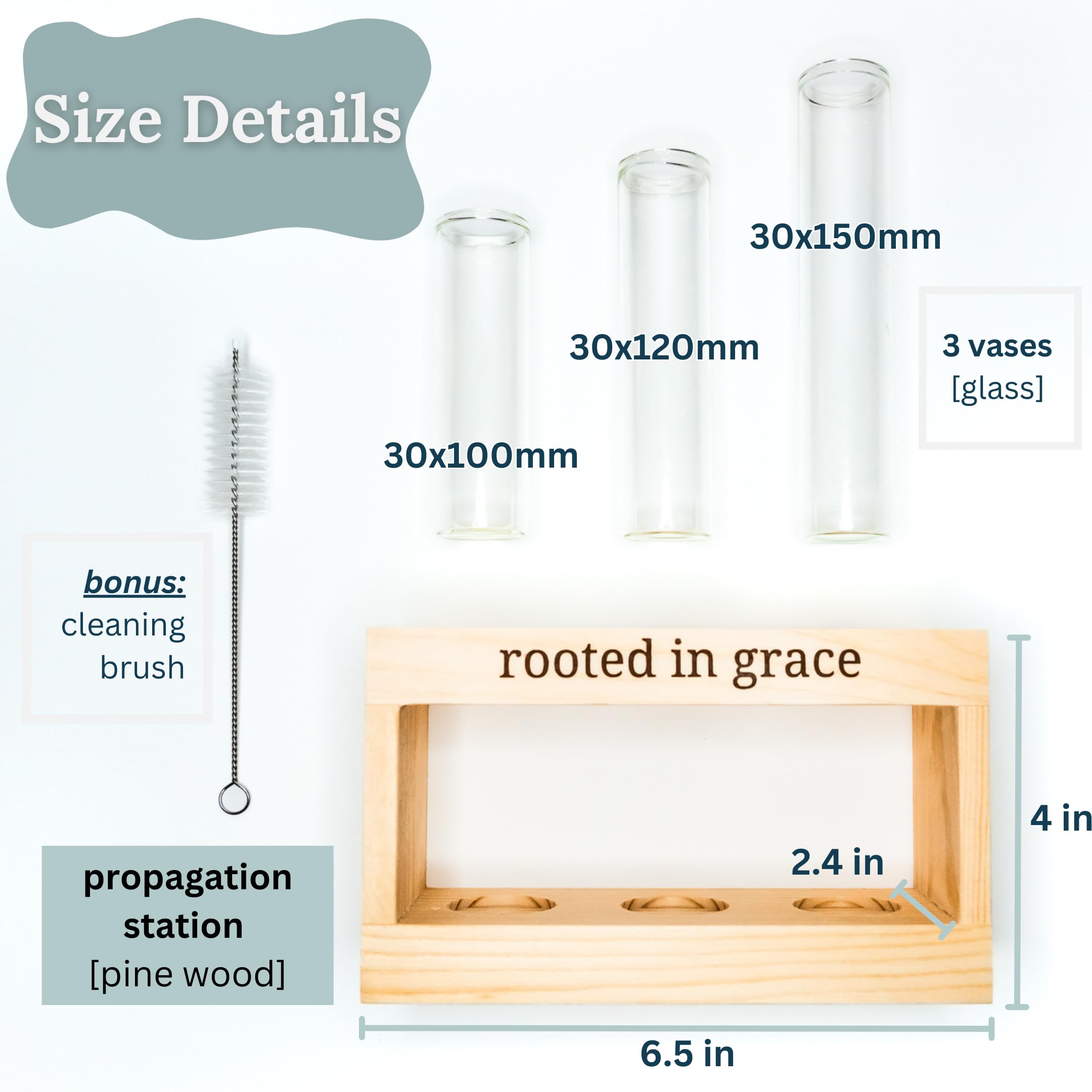 Rooted in Grace: Plant Propagation Station with Glass Vases - Unique Christian Gift Set for Women & Moms, Indoor Planter & Home Decor for Faith-Inspired Living Rooms, Kitchens, or Office Spaces