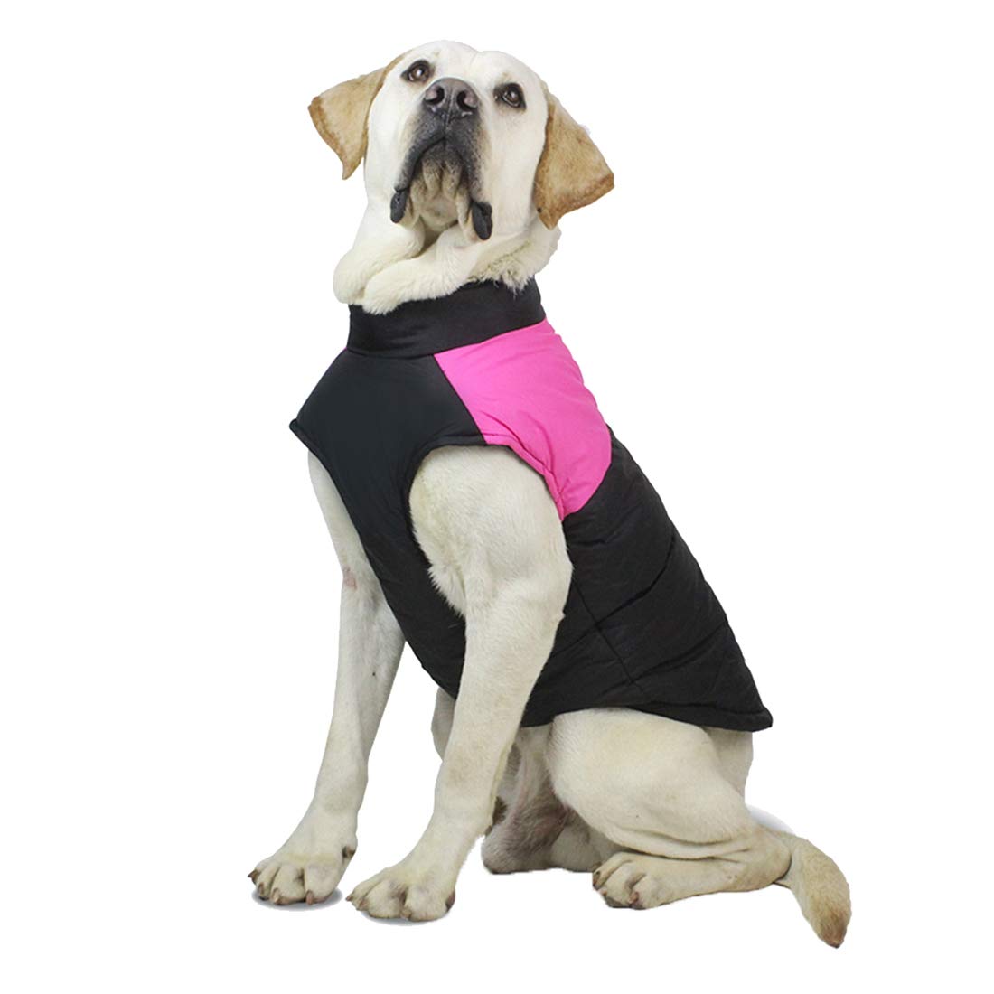 Dog Cold-Weather Coat - High Neck Cotton Pet Jumpsuit | Windproof Thermal Waterproof Dog Jacket for Medium & Large Dogs | Perfect for Winter Walks & Outdoor Adventures