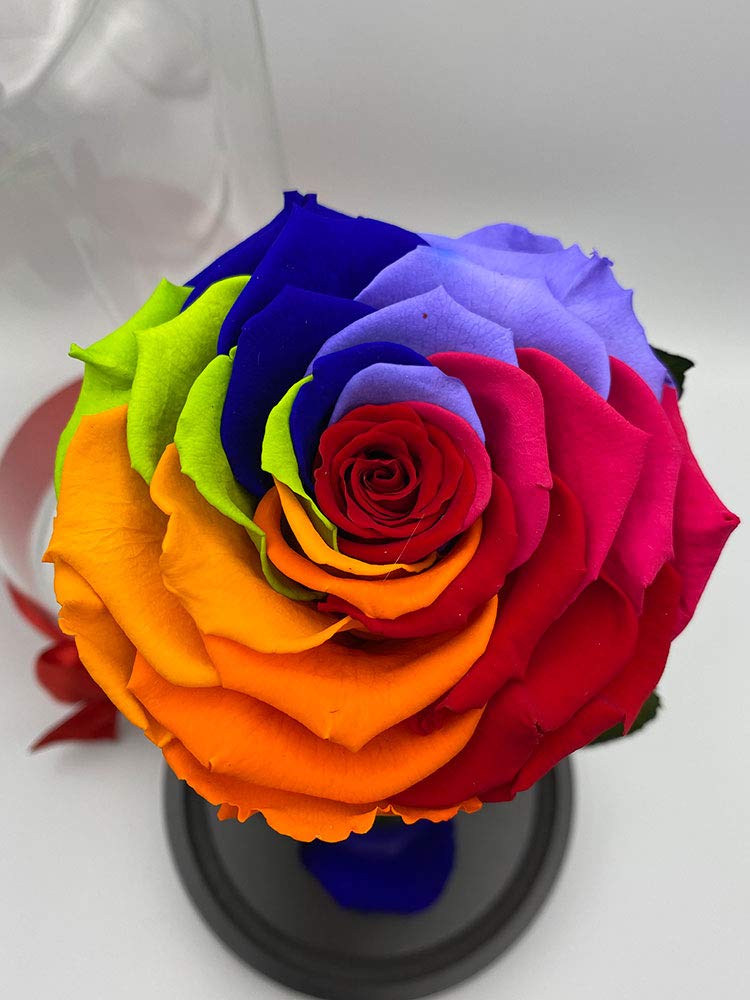 Forever Rose in Glass Dome - Handmade Preserved Real Rose, Long Lasting Beauty & the Beast Inspired Gift (Rainbow, Large Size) - Perfect for Mother's Day, Birthday, Anniversary, Valentine's Day, Proposal & Get Well Presents - Home Decor, Wedding Centerpiece & Romantic Gift Idea