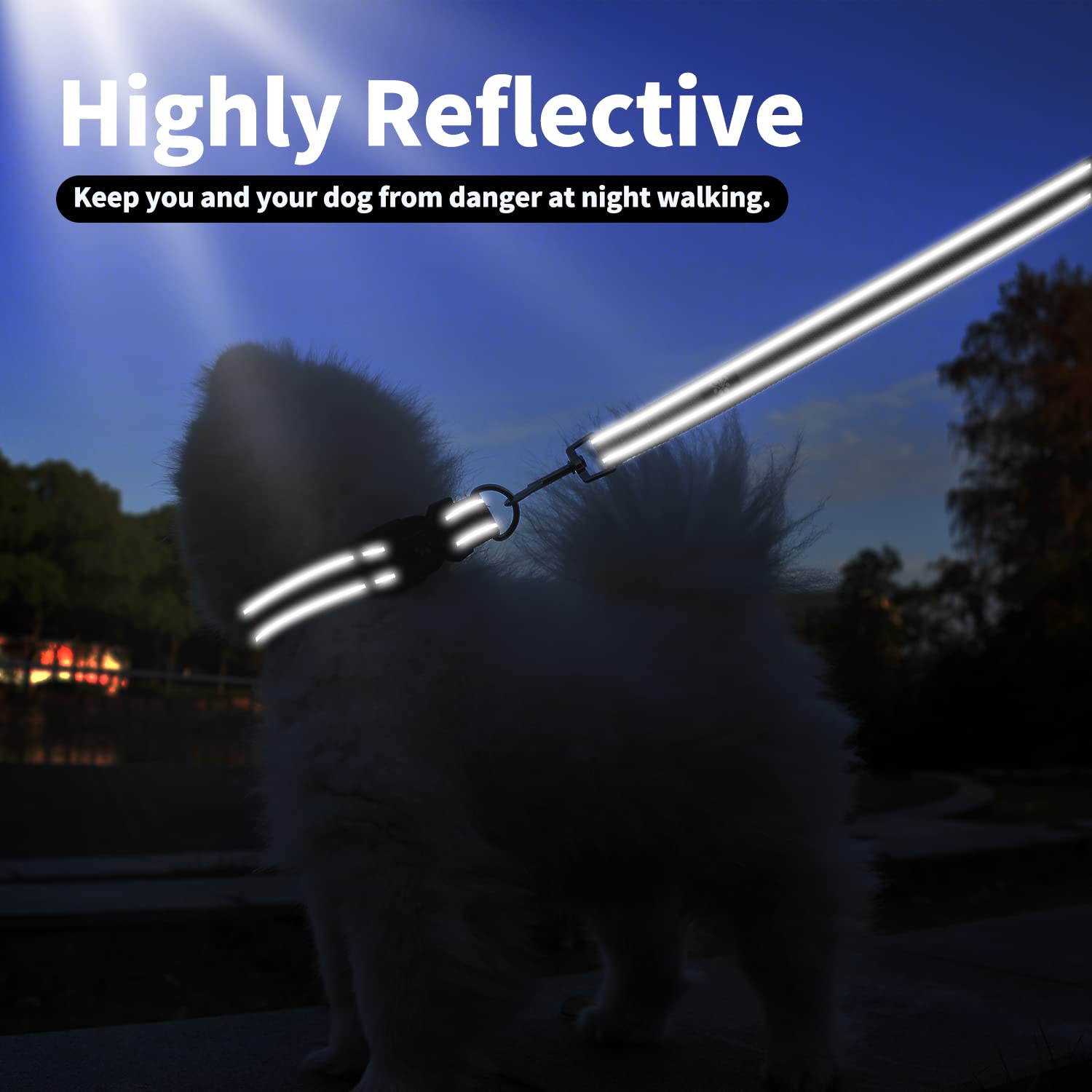 IVY&LANE Reflective Adjustable Neoprene Padded Dog Collar with 5FT Nylon Leash Set - Breathable Comfort for Small Medium Large Dogs & Puppies - Perfect for Night Walks, Jogging & Outdoor Adventures (XS, Black)