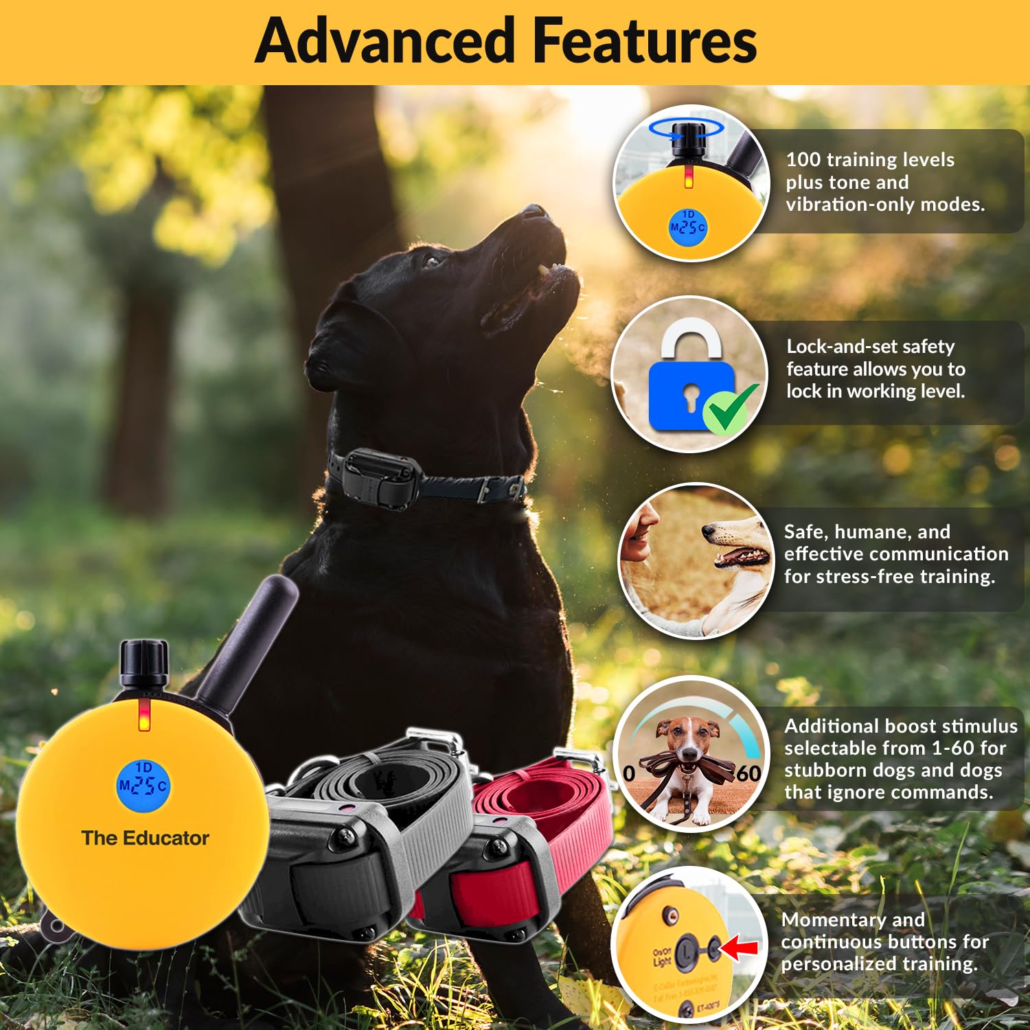 Humane Dog Training Collar with Remote - 100 Safe Stimulation Levels, Waterproof & Rechargeable E-Collar for Small to Medium Dogs (3/4 Mile Range, Night Light, Yellow) - Perfect for Obedience Training, Bark Control & Outdoor Adventures