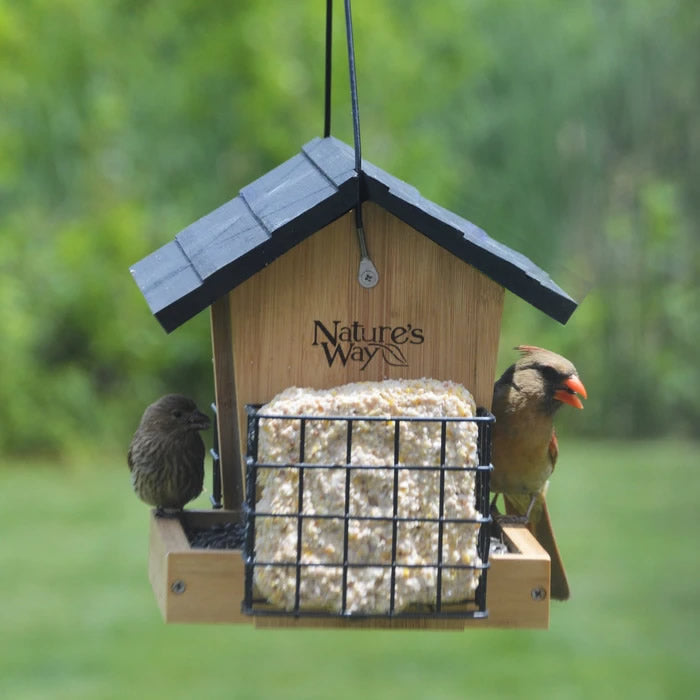 Premium Bamboo 3QT Hopper Bird Feeder with Suet Cage - Eco-Friendly Outdoor Bird Feeding Station for Backyard, Garden & Wildlife Observation