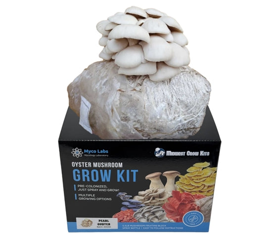 Premium Pearl White Oyster Mushroom Grow Kit (5lbs) - Midwest Grow Kits | Organic Mushroom Cultivation Supplies | Perfect for Home Gardening, Indoor Farming & Sustainable Living