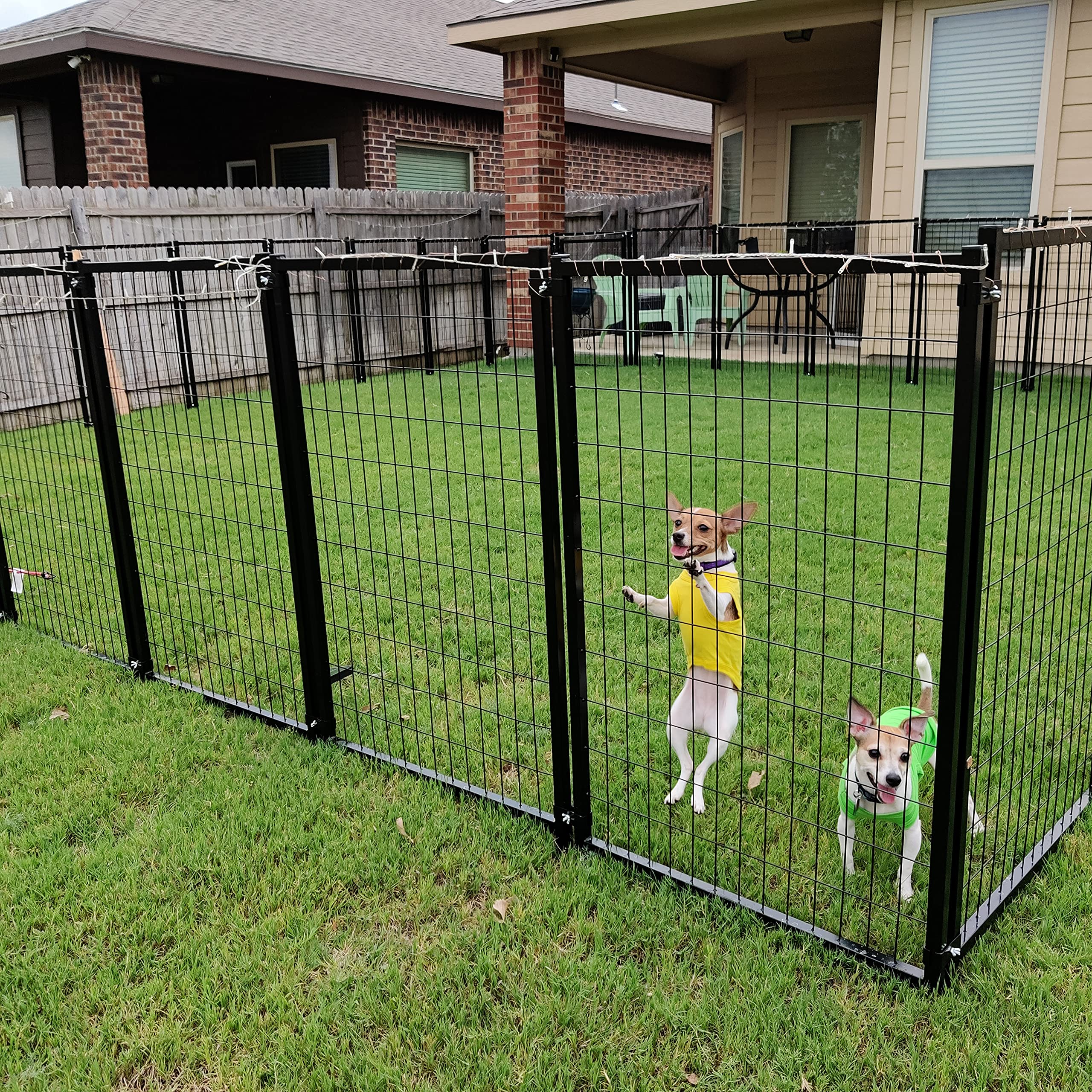 ALEKO Heavy Duty 5'x5'x4' Galvanized Steel Dog Kennel - Indoor & Outdoor Pet Playpen for Small, Medium & Large Dogs - Rust-Resistant Portable Travel Cage for Home, Yard, Camping & Road Trips (Black DK5X5X4SQ)