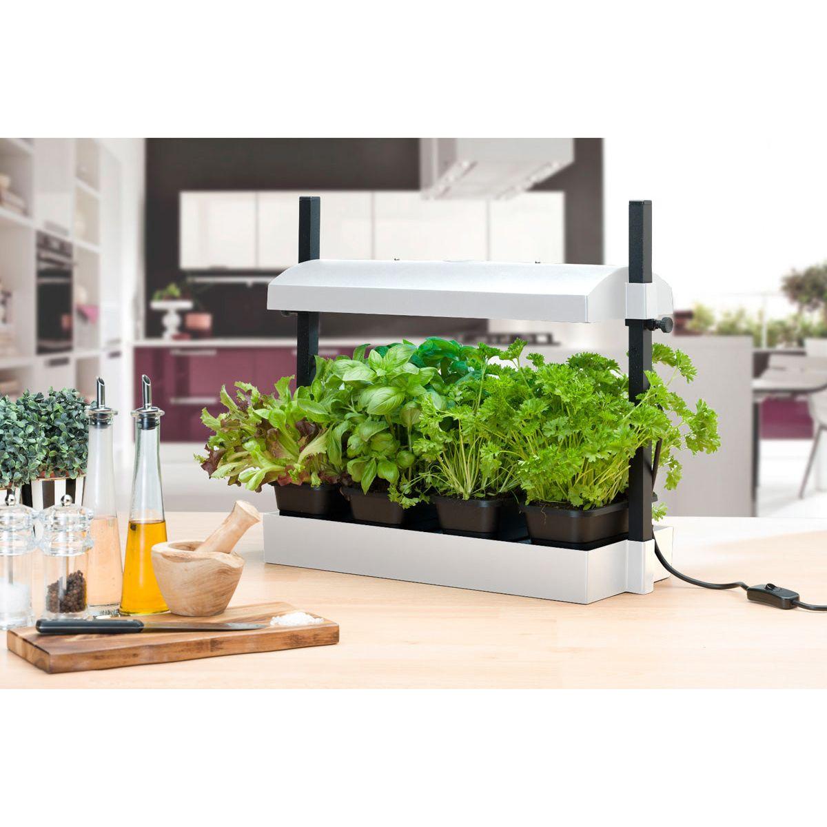 SunBlaster Micro T5 Grow Light Garden - High Efficiency White LED Plant Light for Indoor Gardening, Hydroponics & Seed Starting - Perfect for Herbs, Vegetables & Houseplants