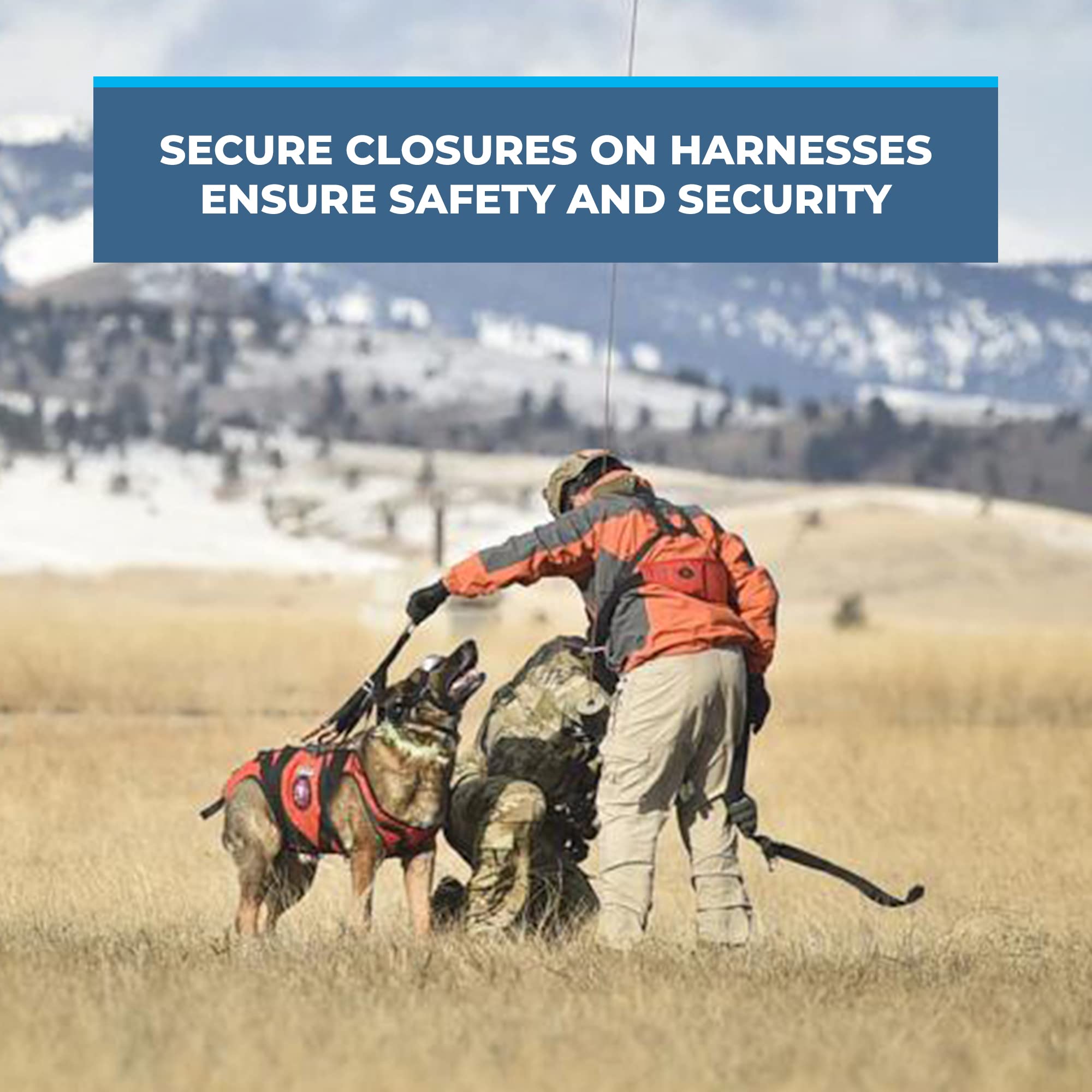 **Rock-N-Rescue SAR Dog Harness – Heavy-Duty Nylon Search & Rescue Harness for Small & Large Dogs – Wear-Resistant, Adjustable, Orange (Large) – Ideal for Hiking, Training & Outdoor Adventures**
