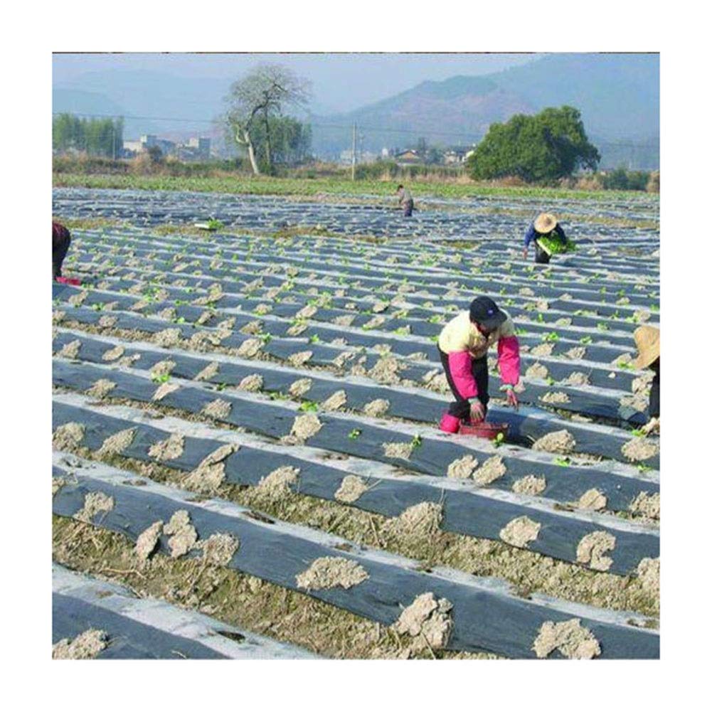 LJIANW Clear Polyethylene Greenhouse Film - 4-mil UV Treated Tarp for Grow Tunnels, Plant Protection & Outdoor Furniture Cover - 6x9m (20x30ft) - Durable Waterproof Gardening & Weatherproofing Solution