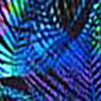 Neon Palm