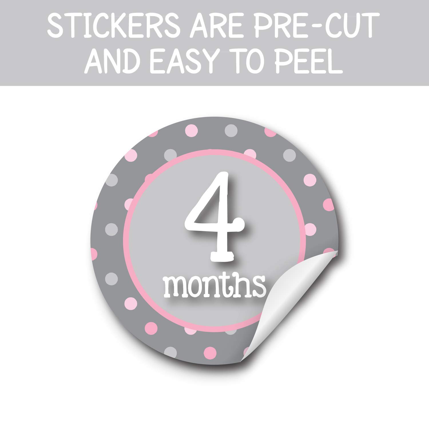 Baby Girl Monthly Milestone Stickers - Adhesive Photo Props for Newborn Growth Tracking - Perfect for Baby's First Year, Monthly Photos, Scrapbooking & Nursery Decor