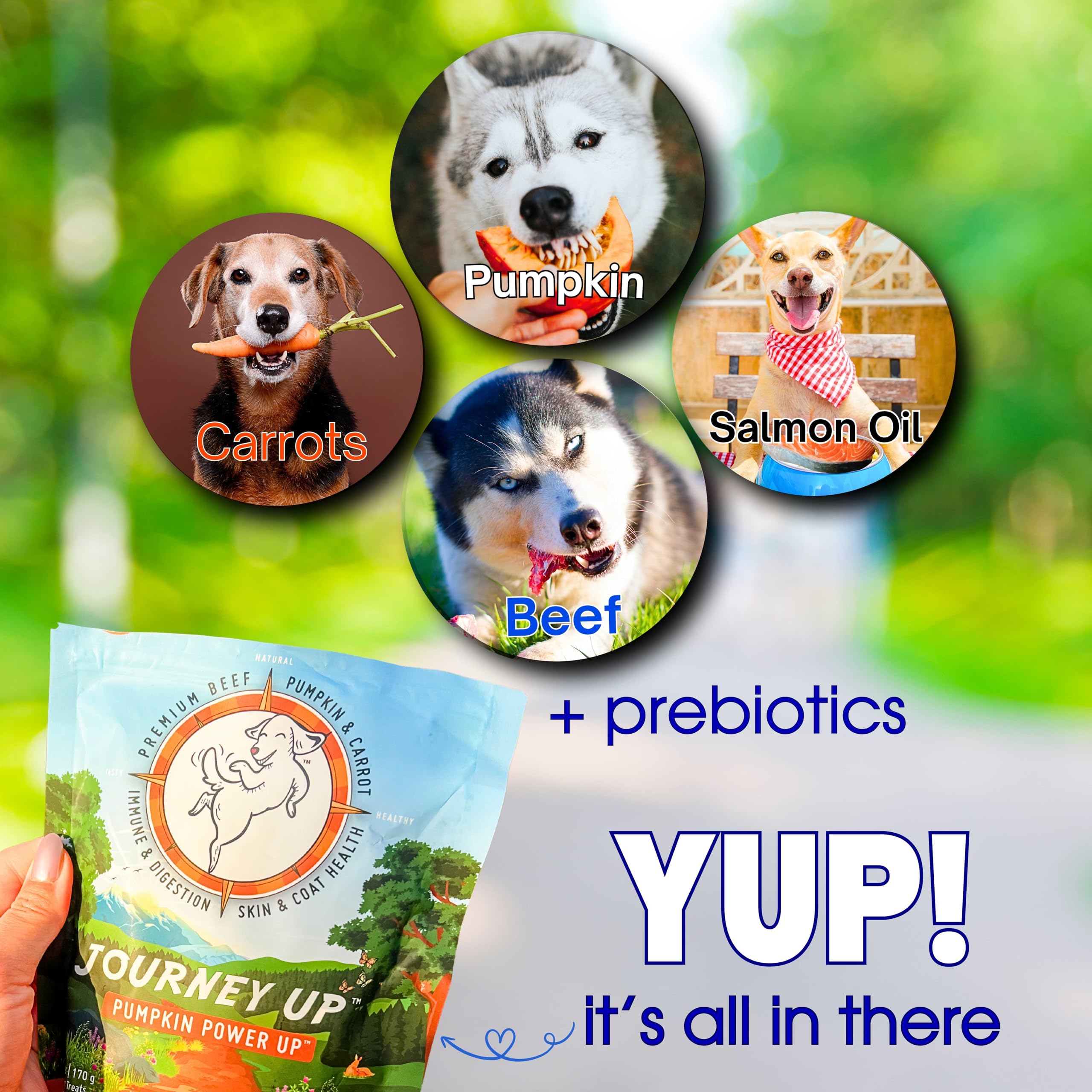 HappyTails Pumpkin Power Up Jerky Treats for Dogs - Beef, Pumpkin & Carrots Recipe - Made in USA - Supports Gut Health with Prebiotics - Promotes Skin & Coat with Omega 3 & 6 - All Dog Sizes (6 oz) - Perfect for Training Rewards & Digestive Health Boosting