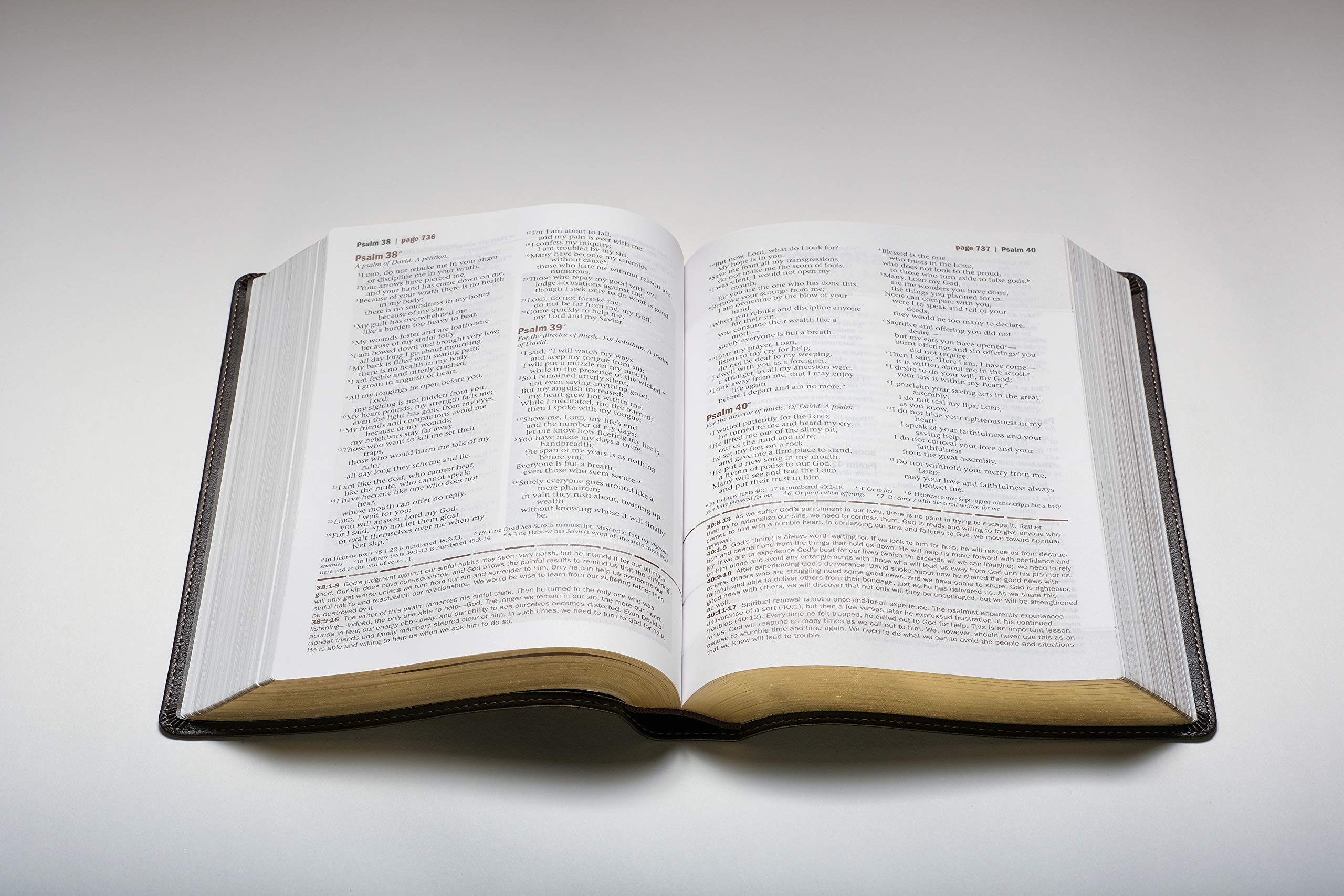 Every Man's Bible NLT - Deluxe Messenger Edition LeatherLike Brown | Study Bible for Men with Notes, Charts & Book Introductions | Perfect for Devotionals, Bible Study & Gifts