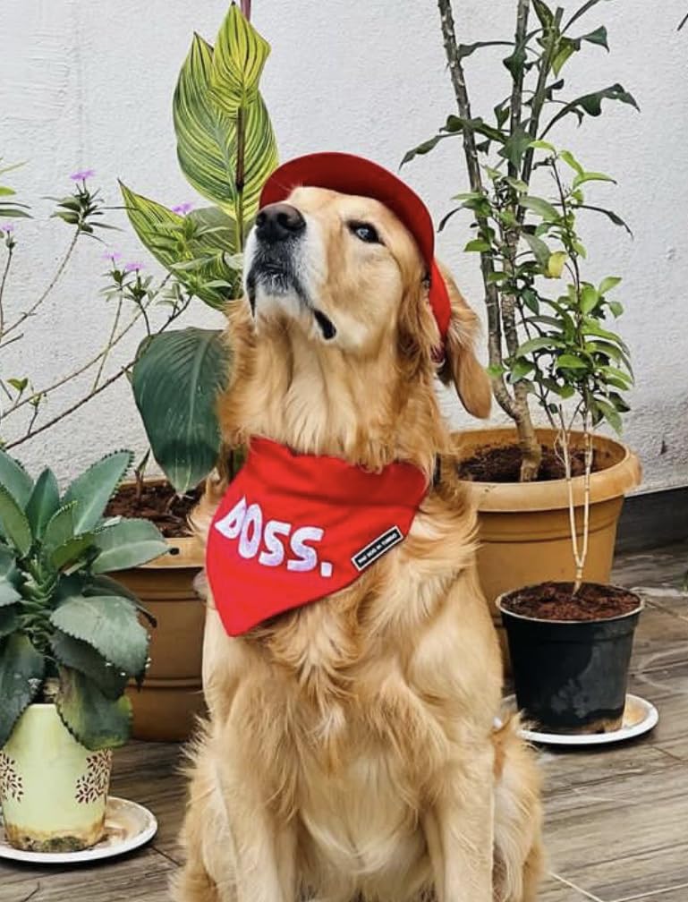 BOSS Dog Bandana & Scarf with Adjustable Collar - Tuxedo Style Pet Accessory for Large Dogs (Red, XL) - Perfect for Weddings, Parties & Special Occasions
