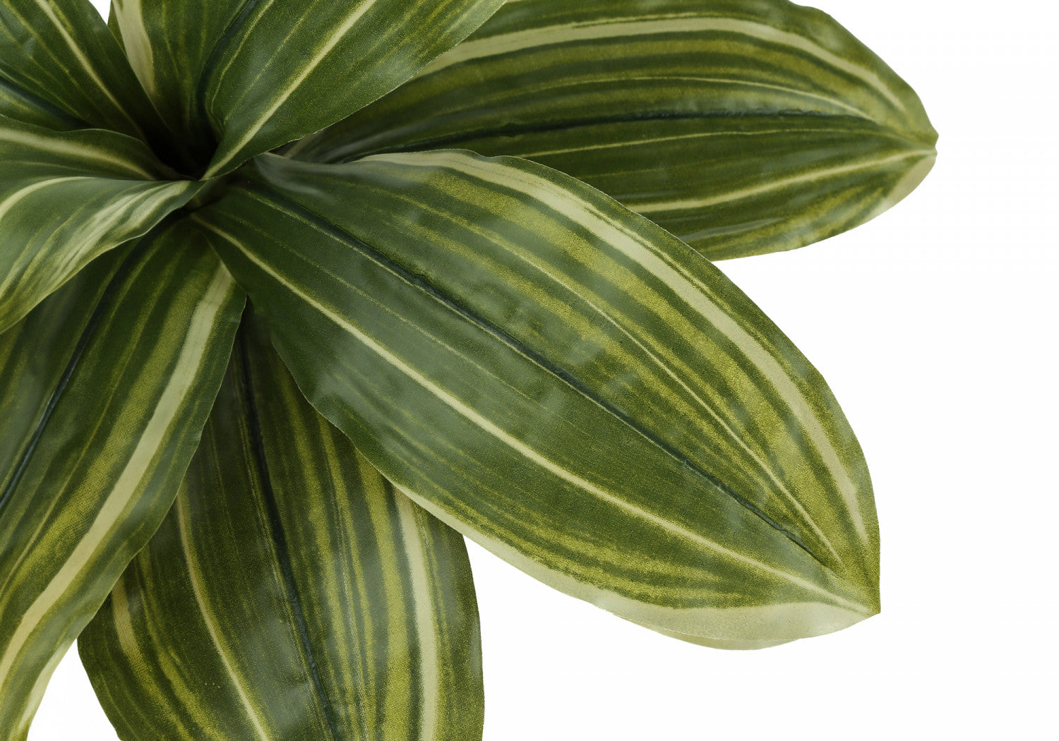 17 Inch Dracaena Plant in 4 Black Pots - Perfect for Home, Office, and Indoor Decor
