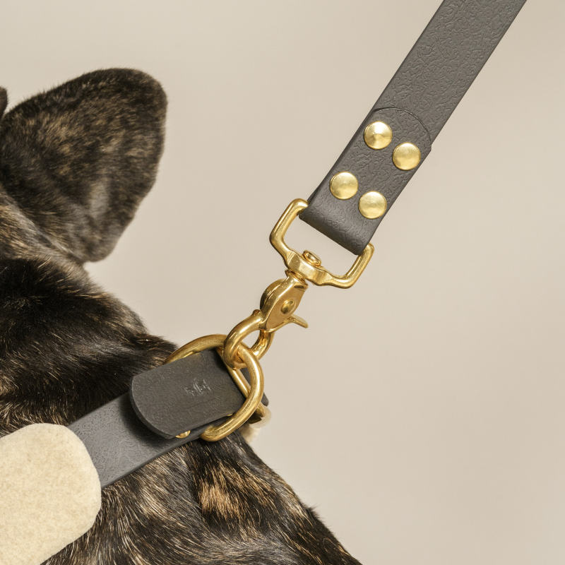 Premium Biothane Dog Leash with Padded Handle - Durable, Waterproof, and Odor-Resistant for Training, Walking, and Outdoor Adventures