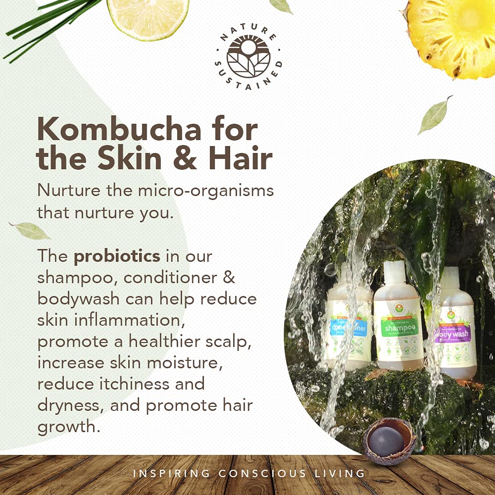 Natural Probiotic Soapberry Shampoo, Body Wash & Conditioner Set (3-Pack) - pH Balanced for Sensitive & Dry Skin/Hair - Lemongrass Scent - 9oz Bottles - Perfect for Daily Hair & Body Care Routine