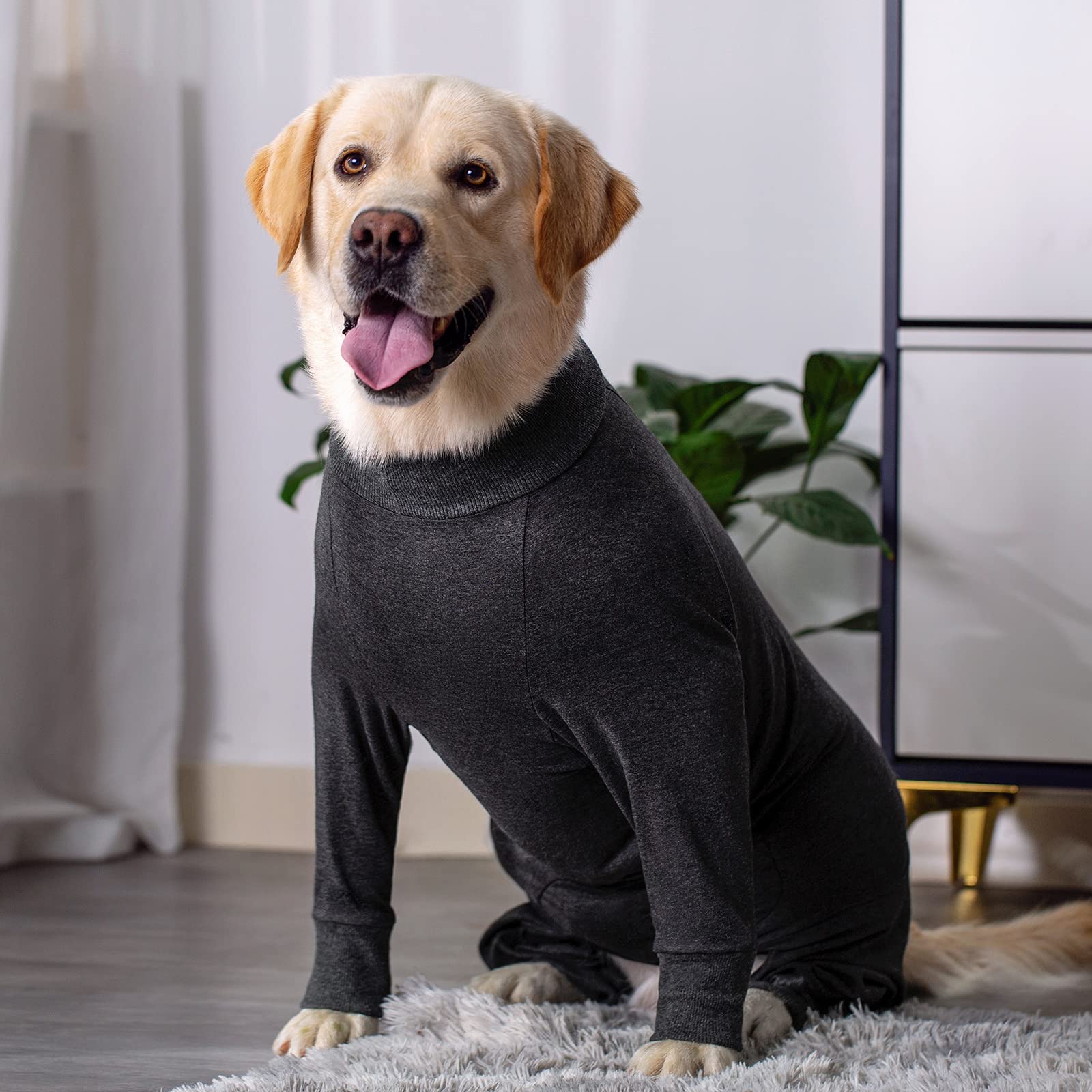 Grey Dog Surgery Recovery Suit for Medium & Large Dogs - Post-Surgical Onesie for Male & Female Pets | Lightweight Anti-Licking Dog Pajamas to Protect Wounds & Reduce Shedding | Ideal for Post-Op Care, Wound Healing & Comfortable Recovery