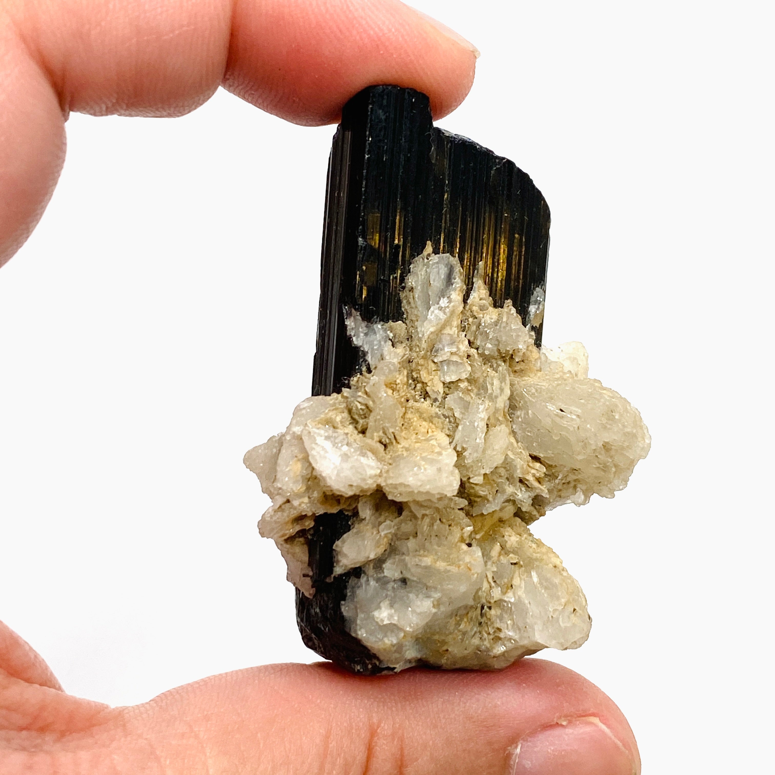 Natural Black Tourmaline Crystal Specimen BTS 01 - Raw Healing Stone for Meditation, Energy Protection & Mineral Collection