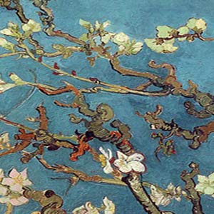 Almond Flower