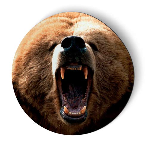 Grizzly Bear Roar Magnet - 3 Inch Strong Fridge & Locker Decoration - Perfect for Cars, Offices, and Home Use