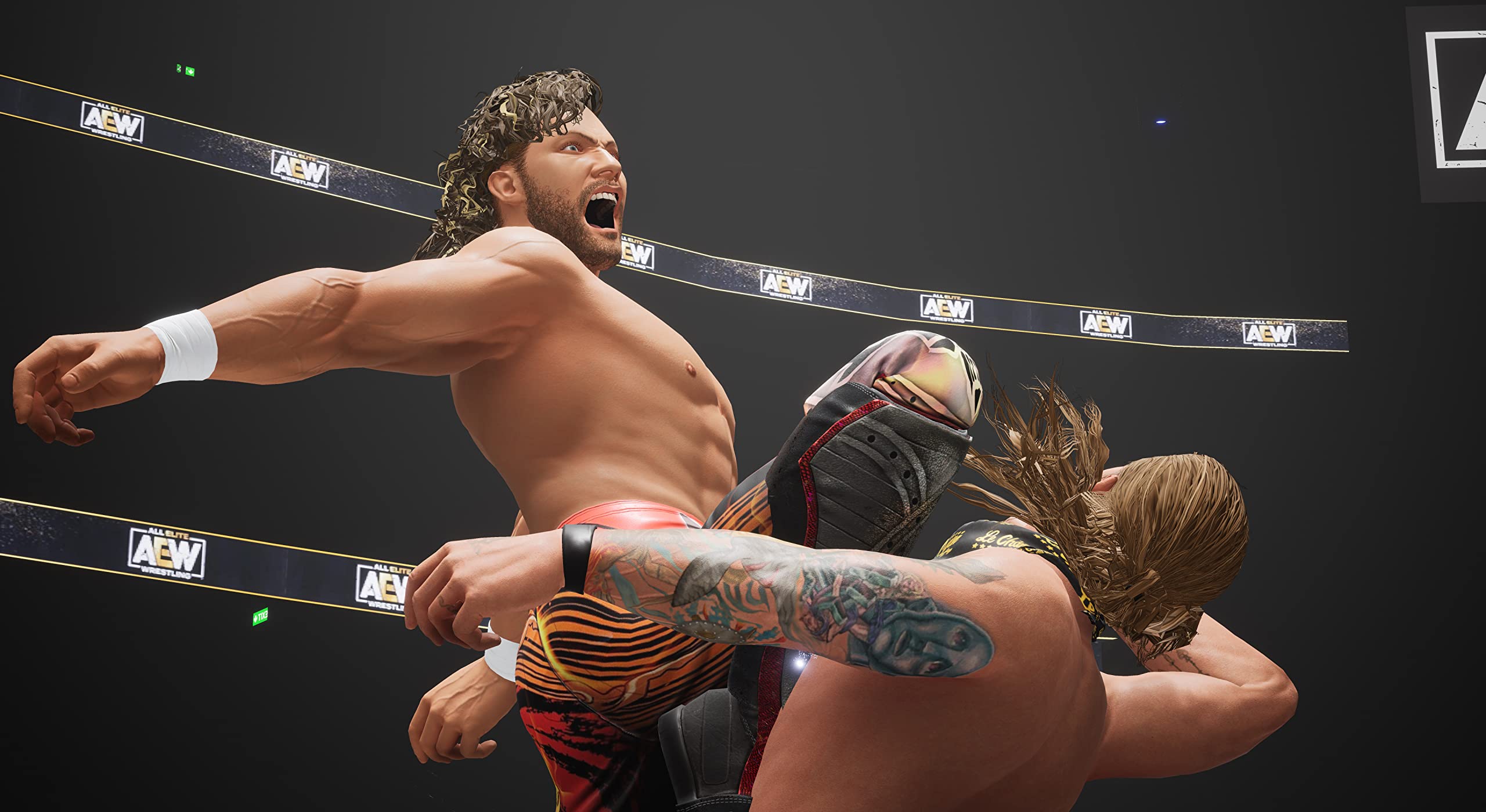 AEW: Fight Forever - PS5 Wrestling Video Game | Authentic Pro Wrestling Action | Perfect for Fans & Gamers | Play at Home or Tournaments