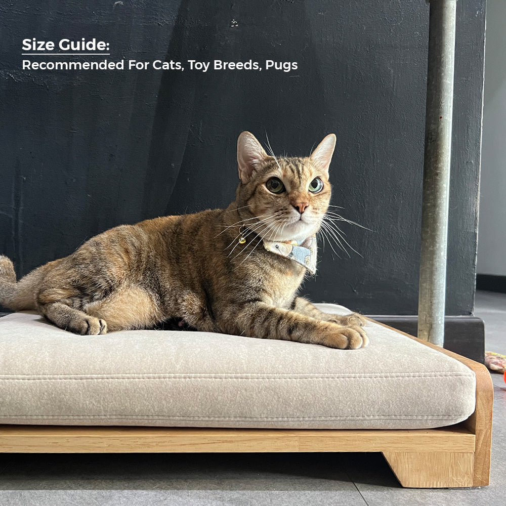 Premium Orthopedic Memory Foam Dog Bed for Large Dogs - Washable Cover, Waterproof Lining - Perfect for Home, Crate & Travel Use