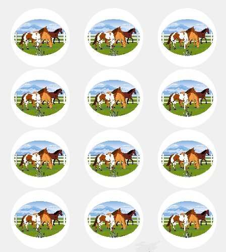12-Pack Edible Horse Cupcake Toppers - Farm Animal Pasture Theme Decorations for Birthday Cakes, Baby Showers & Country-Themed Parties