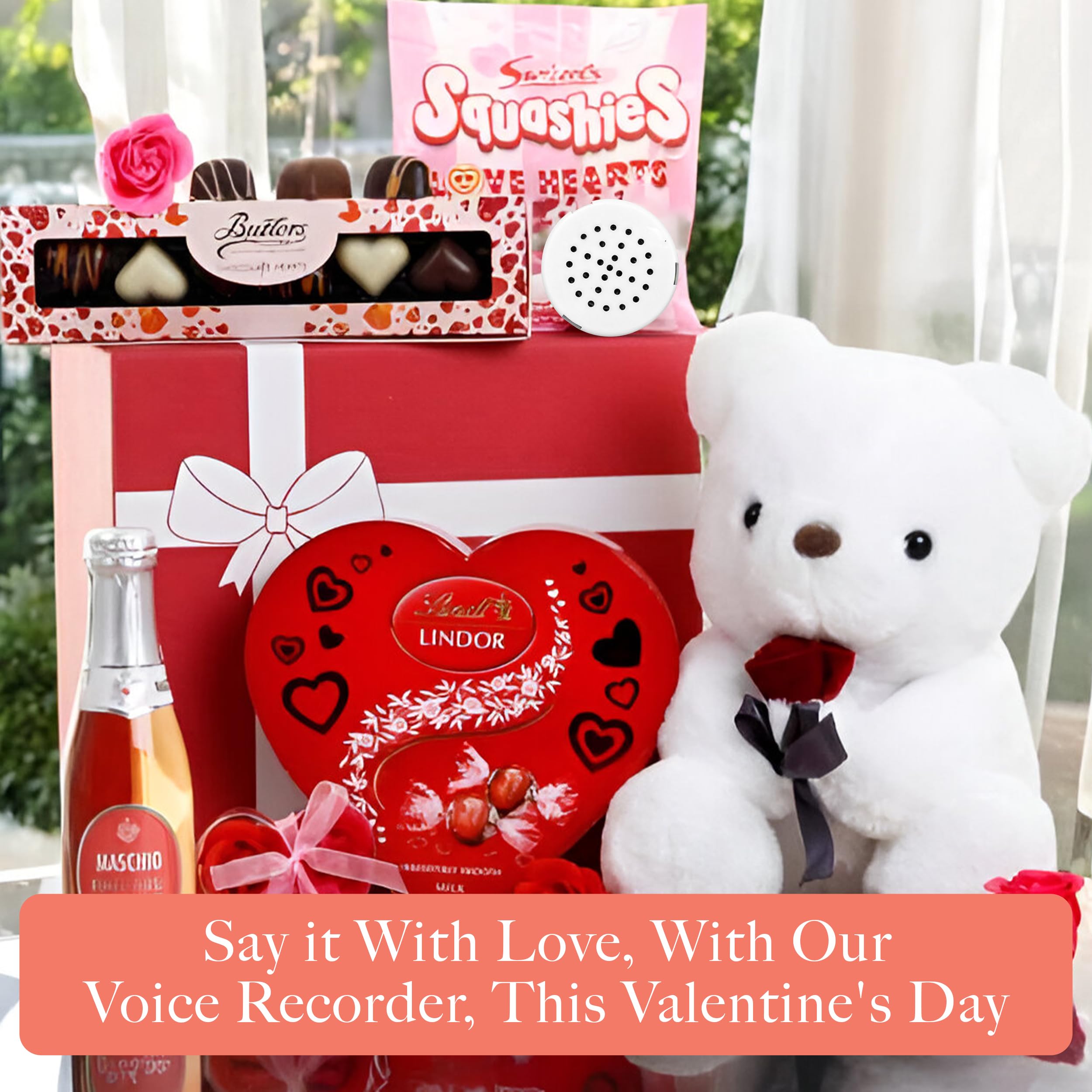60 Second Multi-Message Voice Recorder for Plush Toys - Custom Sound Module for Stuffed Animals, Baby Dolls & Pillows (2 Pack) - Perfect for Personalized Gifts, Surprise Messages & Interactive Play