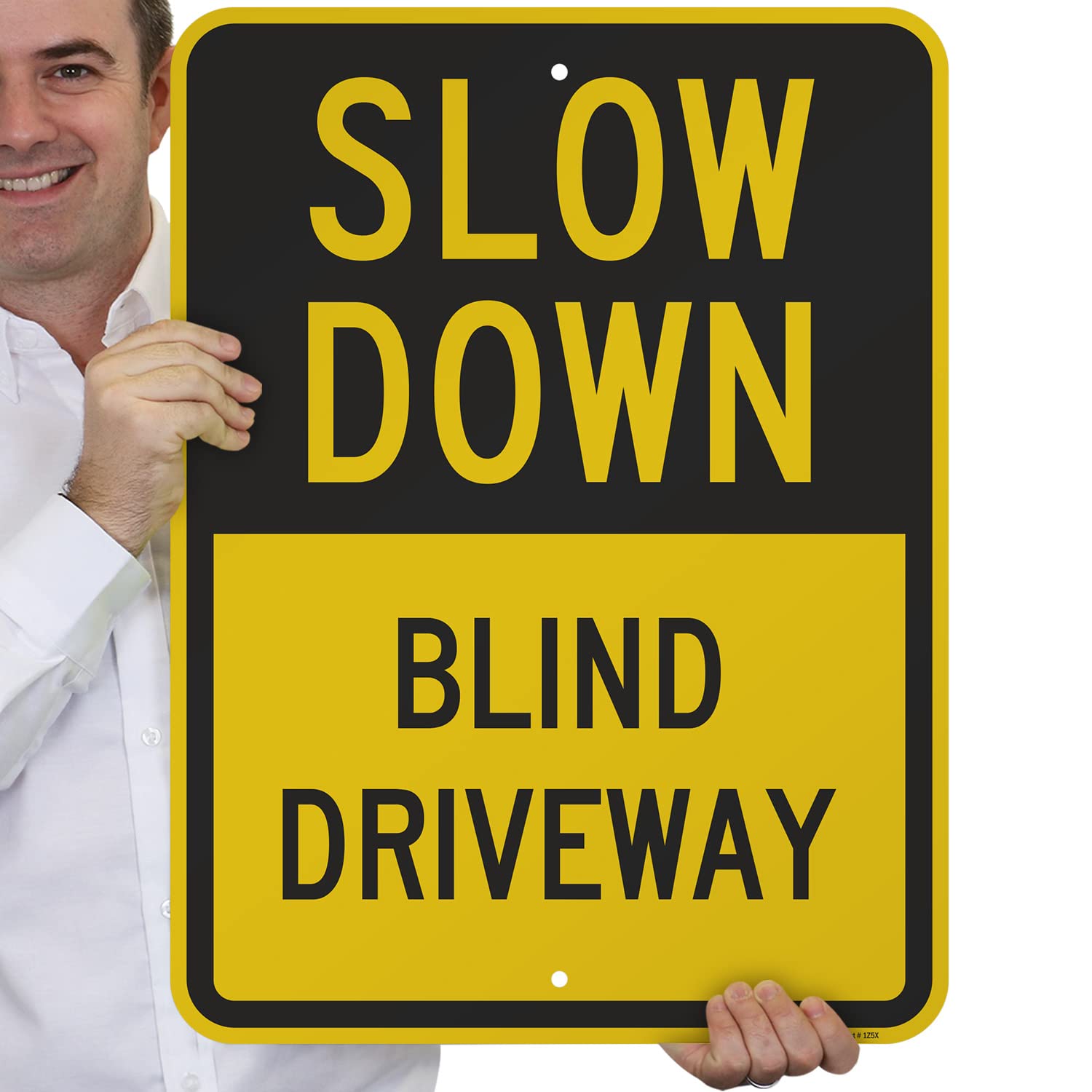 Slow Down - Blind Driveway