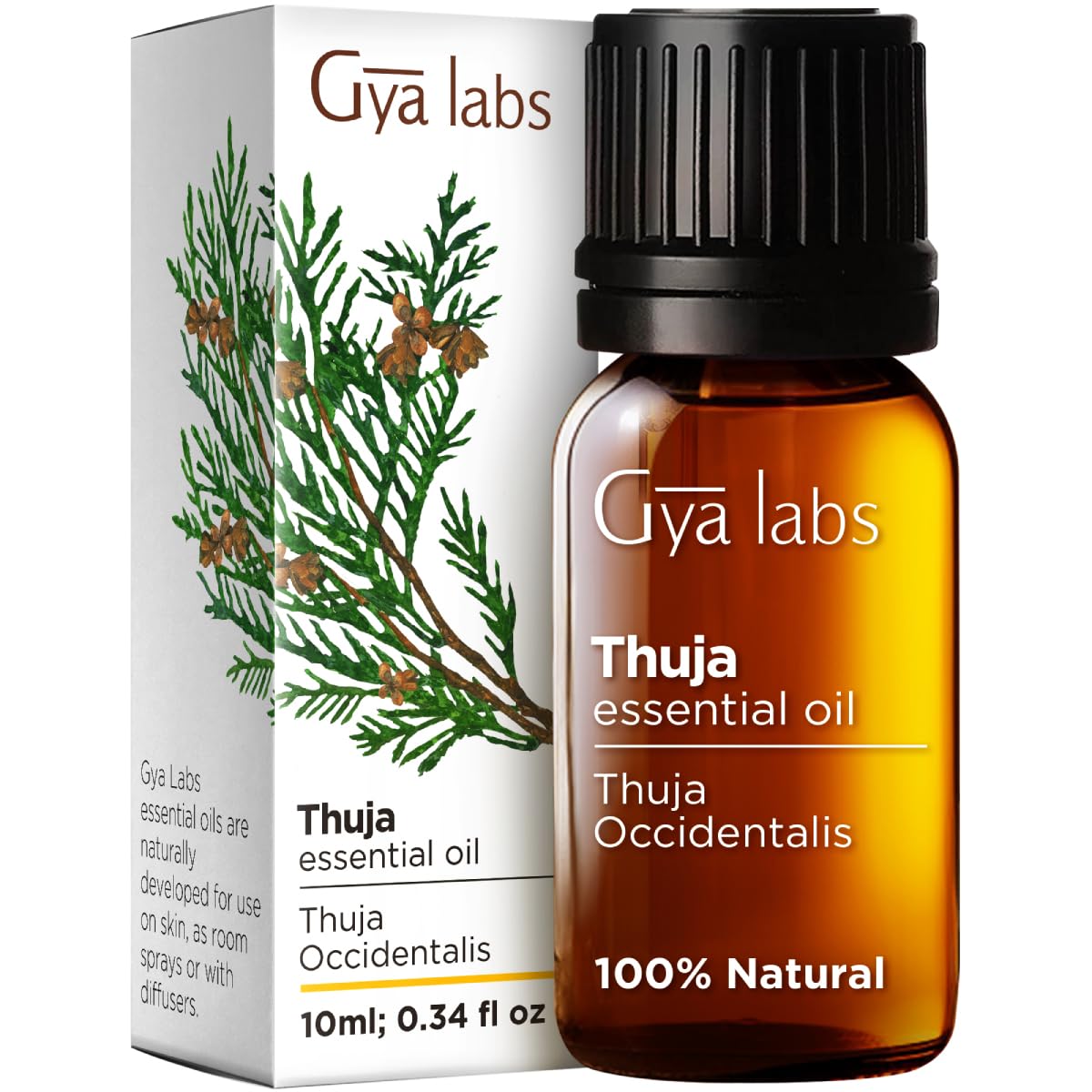 Gya Labs 100% Pure Thuja Essential Oil - 0.34 Fl Oz Natural Wood Oil for Aromatherapy, Diffuser, Hair Care & Candle Making - Camphor Scent for Relaxation & Stress Relief - Perfect for Spa, Yoga & Home Fragrance