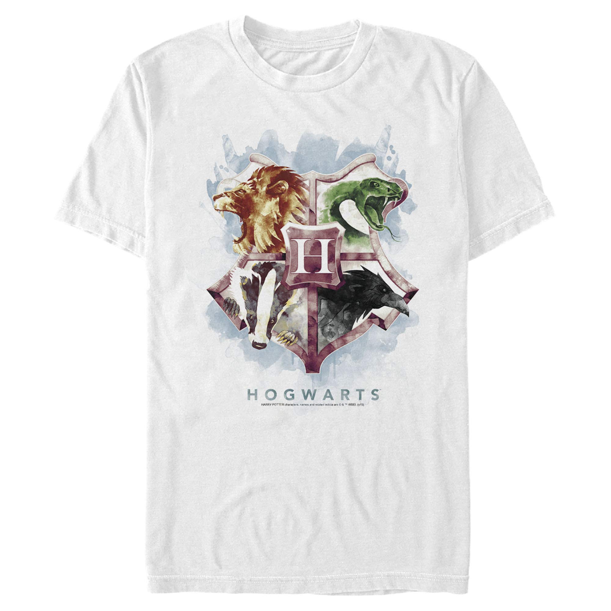 Harry Potter Hogwarts Mystic Wash Graphic T-Shirt for Men - Casual Wear, Cosplay, and Harry Potter Fan Gifts