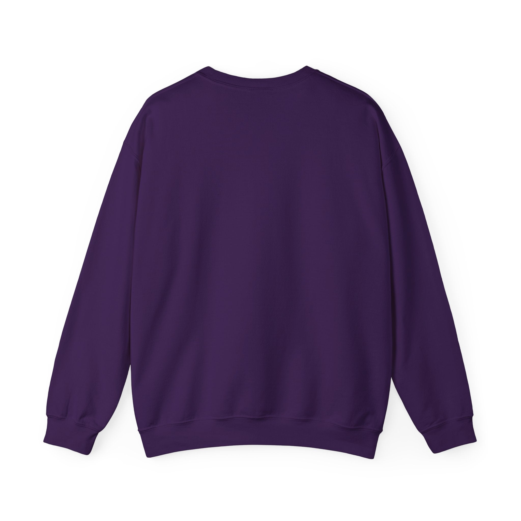 Shauwney's Skate Palace Crewneck Sweatshirt - Men's & Women's Casual Pullover Hoodie for Streetwear & Skateboarding - Perfect for Urban Fashion & Skate Park Outfits