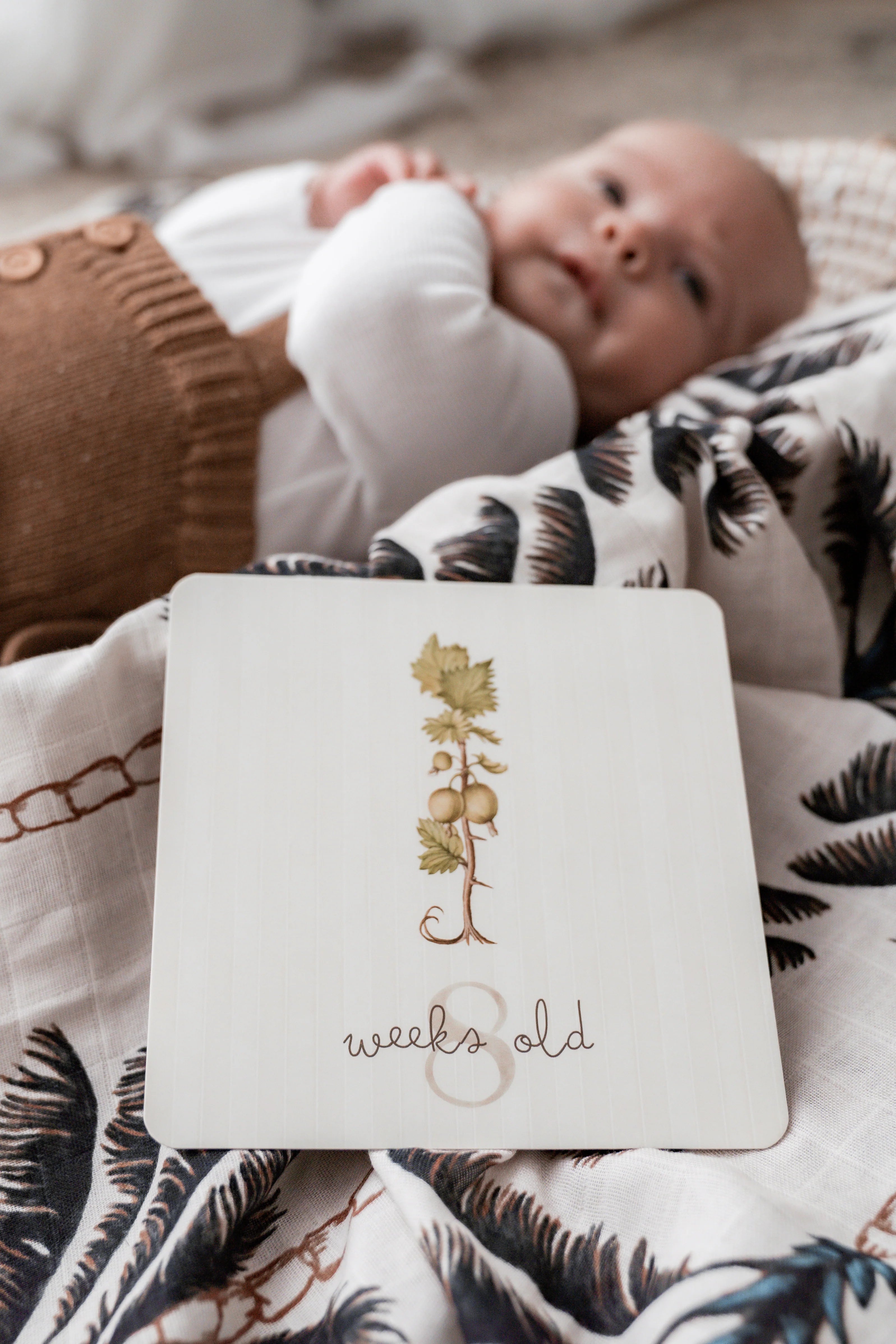 Pop Ya Tot Botanical Milestone Card Set - Baby Growth Photo Props & Newborn Memory Keepsake - Perfect for Monthly Baby Pictures, First Birthday, and Nursery Decor