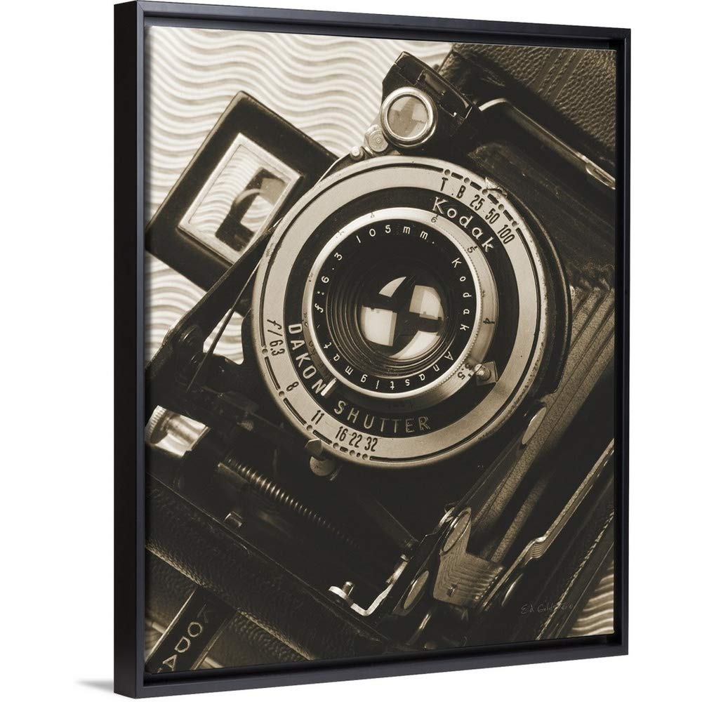 Black Float Frame Canvas Art - Stunning Depth of Field Photography Wall Decor for Living Room, Bedroom & Office | Premium Gallery-Wrapped Artwork