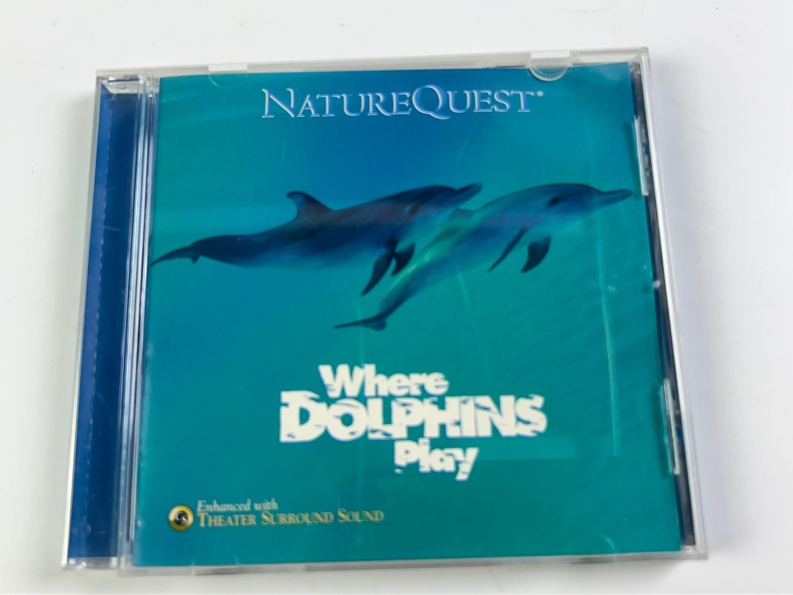 Where Dolphins Play - Beautiful Ocean Themed Wall Art for Home & Office Decor | Perfect for Beach House, Living Room, Nursery & Coastal Style Interiors