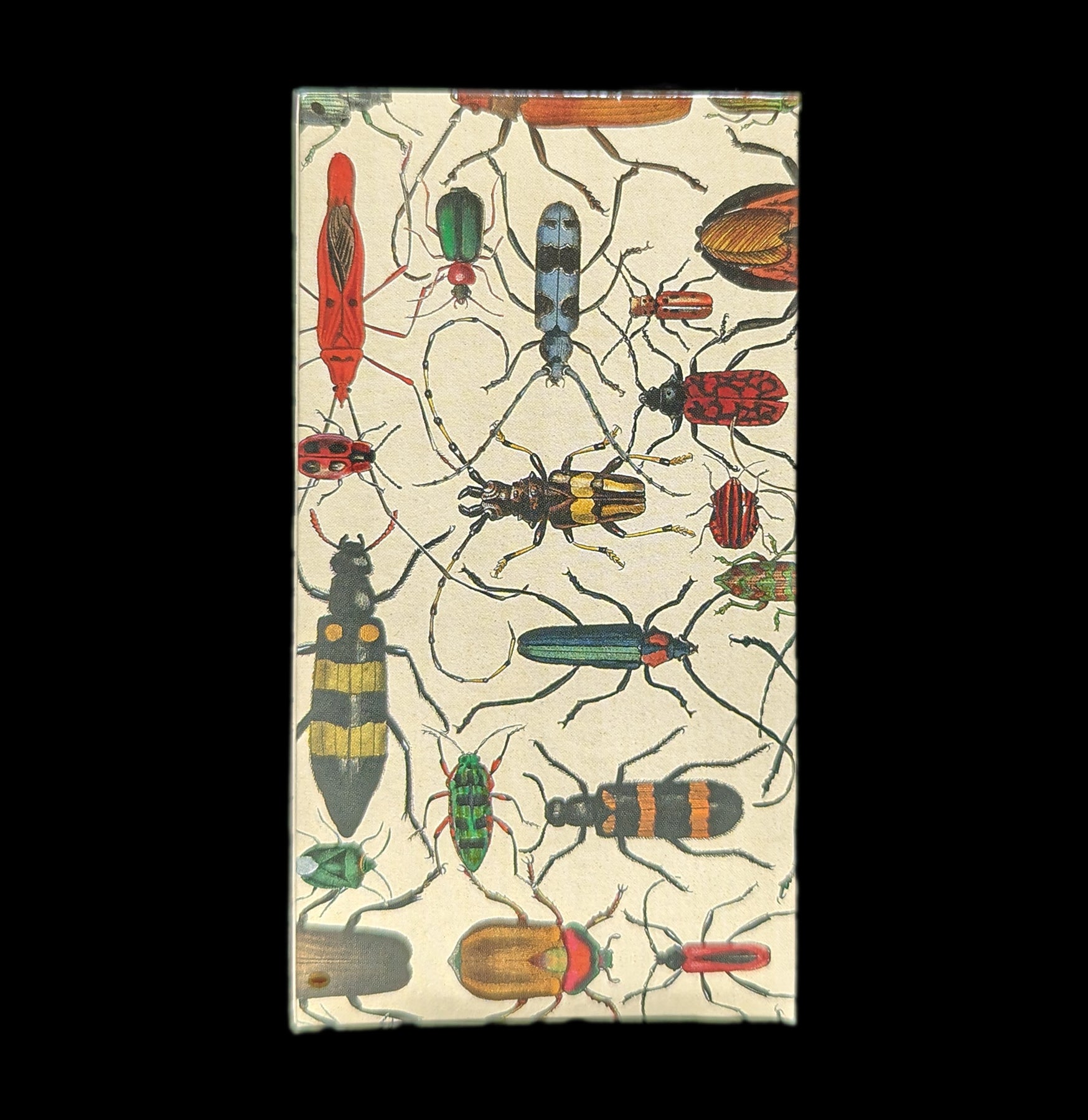 Premium Mixed Beetles Matches - Unique Collectible Insect Matches for Camping, Hiking & Outdoor Adventures