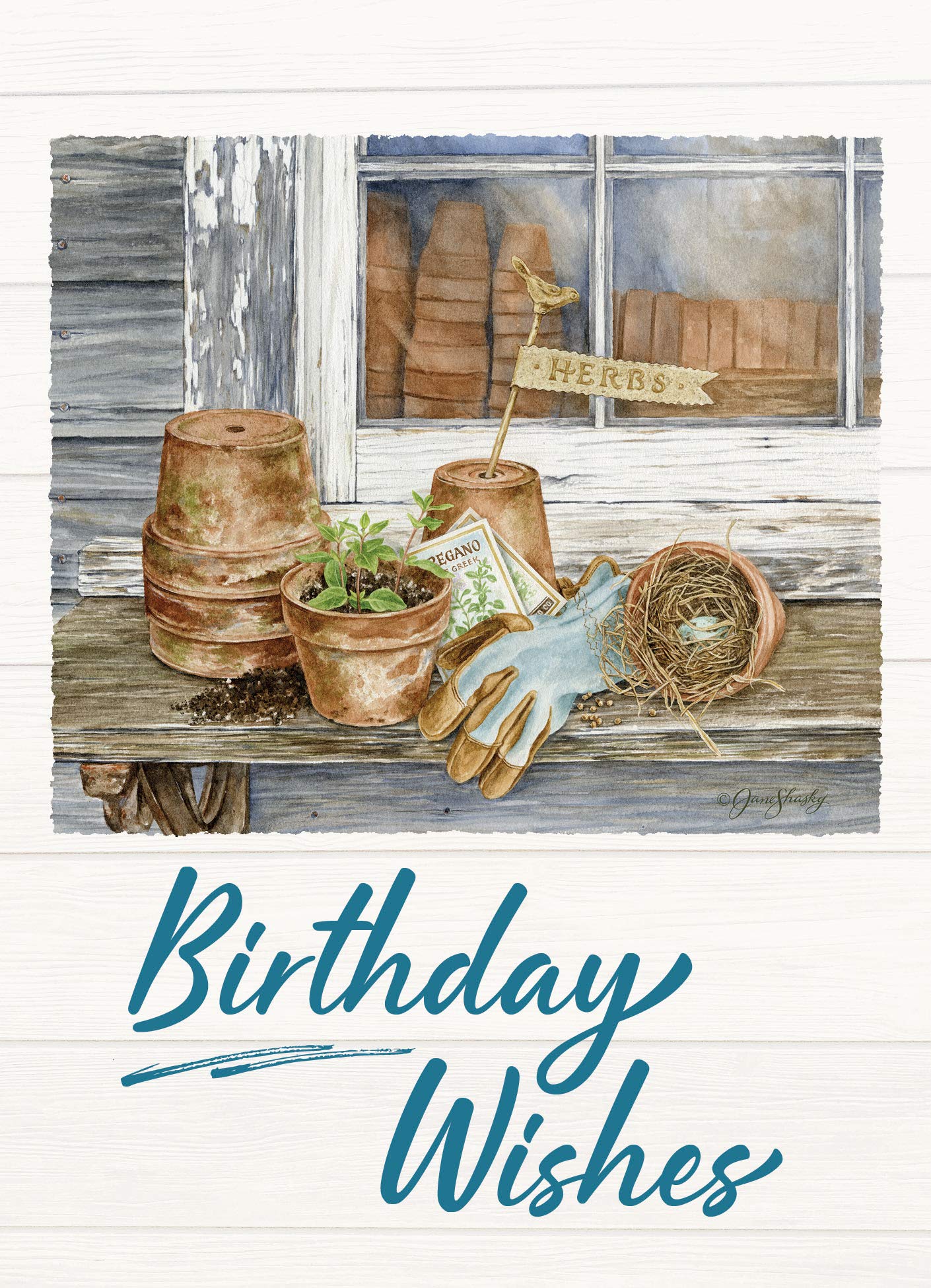 HTL Card Boxed Birthday Herb Garden Kit - Set of 12 Greeting Cards with Envelopes | Perfect for Birthday Gifts, Thank You Cards & Home Gardening Enthusiasts