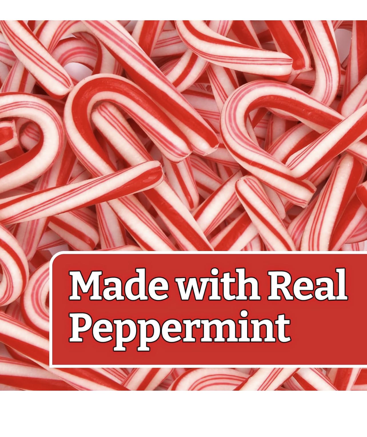 Mini Candy Canes (1000 Count) - Peppermint Flavored Christmas Candy with Red & White Stripes | Individually Wrapped Holiday Treats for Stocking Stuffers, Party Favors & Gift Bags | Includes Free Idea Booklet & Branded Bag Clip - Perfect for Christmas, Thanksgiving, Santa Parades & Winter Celebrations