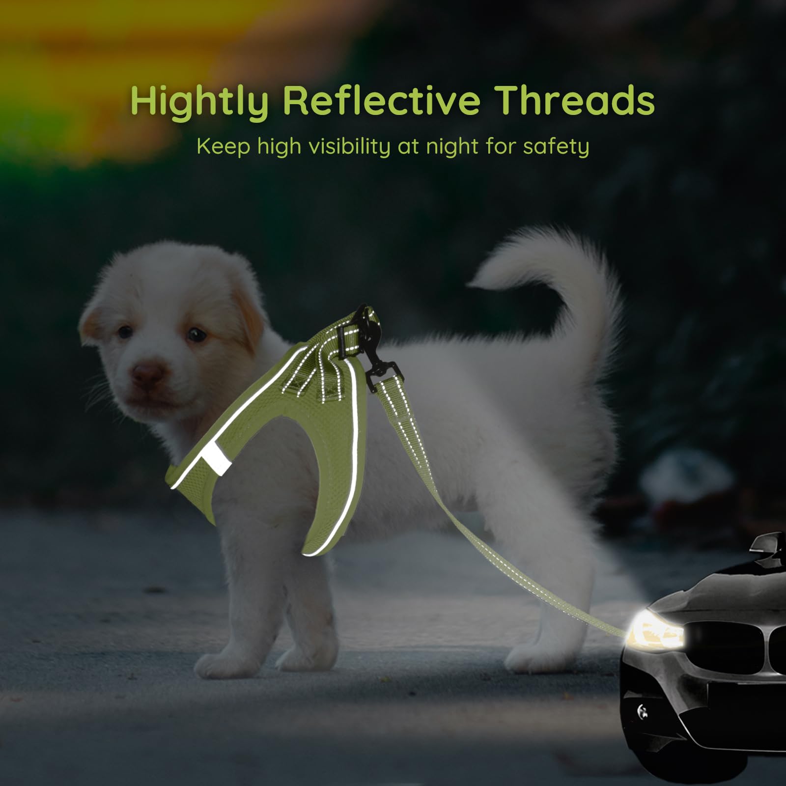 BELLA & PAL Small Dog Harness with Leash Set - No Pull Step-in Vest Harness for Puppies, Cats (XS) - Breathable Air Mesh with Reflective Strips for Safety - Perfect for Walking, Training & Outdoor Adventures