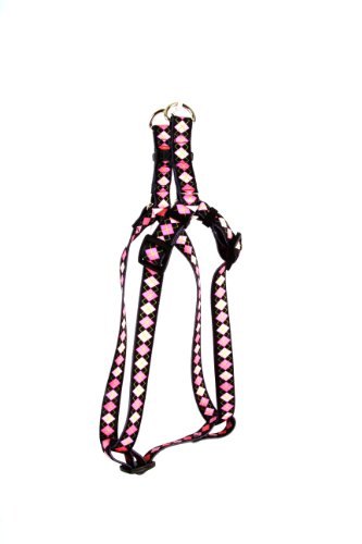 Pink Argyle