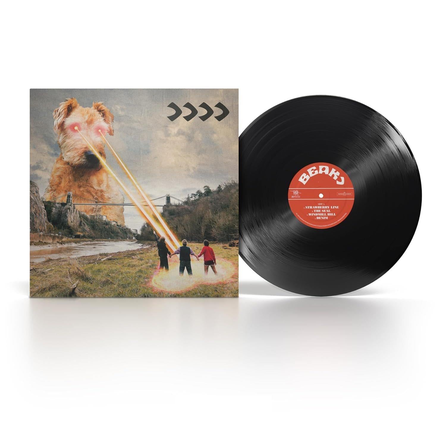 Vinyl Records - High-Quality LP Vinyl Albums for Music Lovers | Perfect for Home Listening, DJing & Collecting