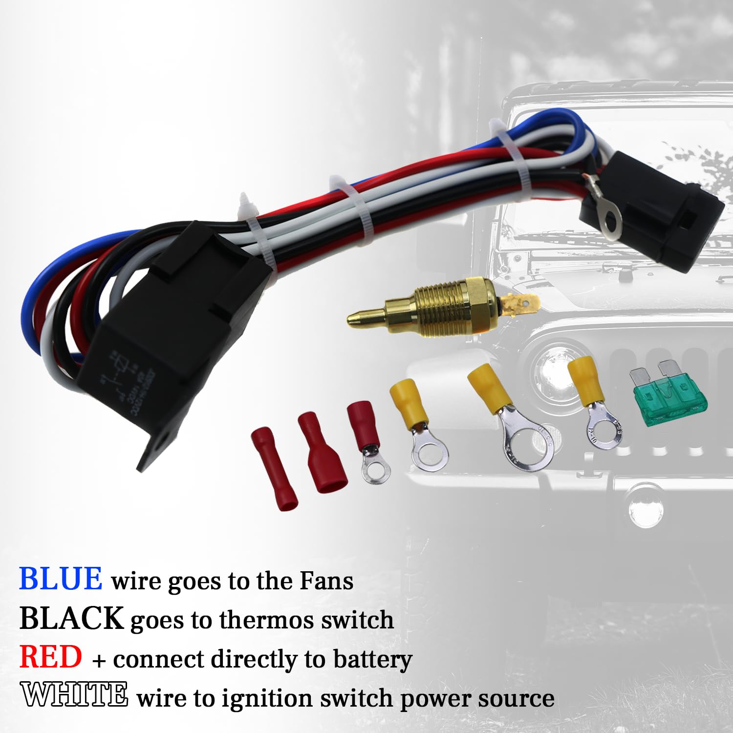 Aluminum Radiator Fan Shroud & Thermostat Relay Kit - Compatible with 1960-1966 Ford Mustang, Falcon, Ranchero & Mercury Comet (V8/L6, AT/MT) | Engine Cooling System Upgrade for Classic Car Restoration & Performance Enhancement