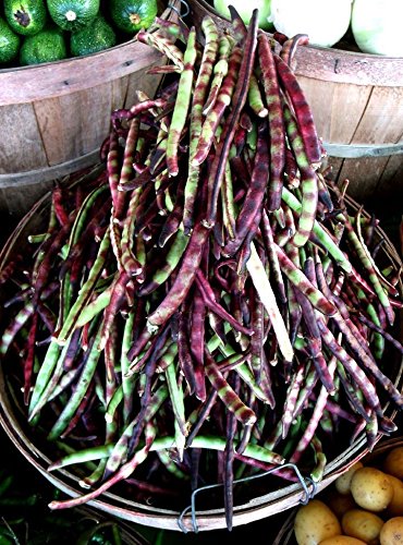 Mississippi Purple Southern Peas Seeds (100 Count) - Great Flavor, Shelling Peas for Home Gardening & Southern Cooking