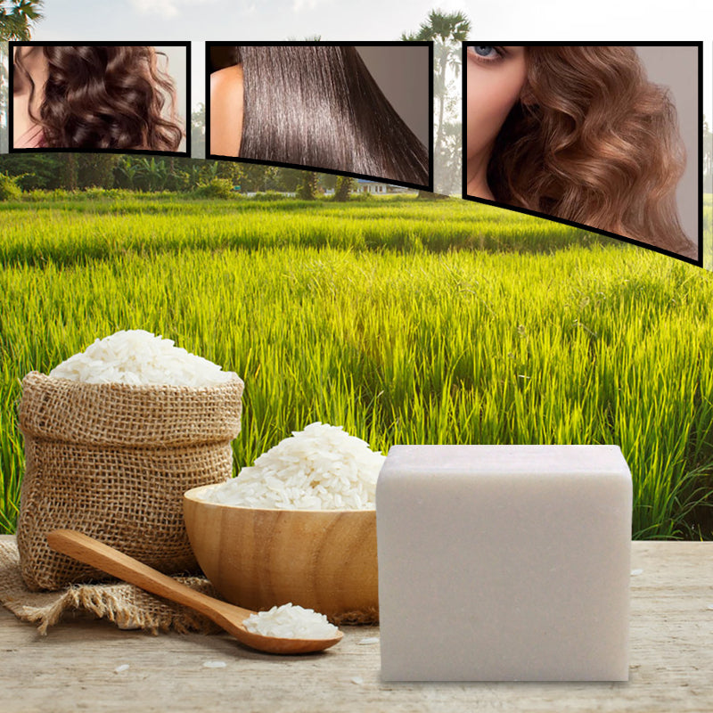 Rice Care Softening Repair Shampoo for Split Ends & Damaged Hair - Nourishing Hair Soap with Natural Ingredients | Perfect for Dry, Frizzy Hair Care at Home & Salon Use