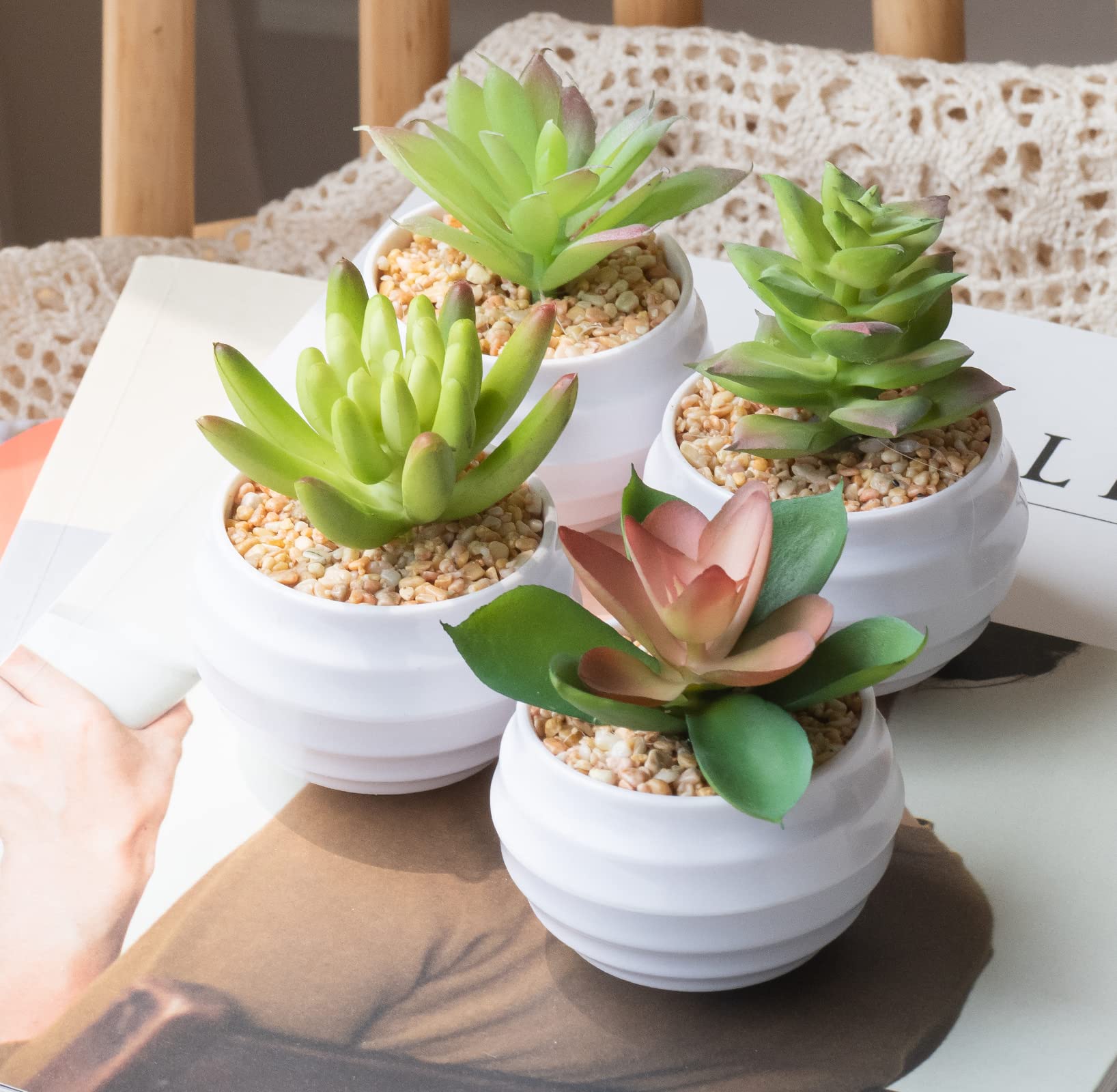 Premium Artificial Succulent Plants in Pots - Set of 4 Fake Cacti & Faux Succulents for Home, Office & Indoor Decor - Low Maintenance Desk Plants for Living Room, Bathroom & Workspace Decorations