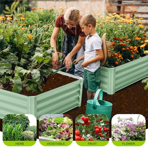 GARVEE 2 Pack 6' x 3' x 1' Galvanized Raised Garden Beds with Open Base & Safety Edge - Premium Quality Metal Planter Box for Outdoor Gardening, Vegetables, Flowers & Herbs - Includes Free Gardening Gloves (Green)