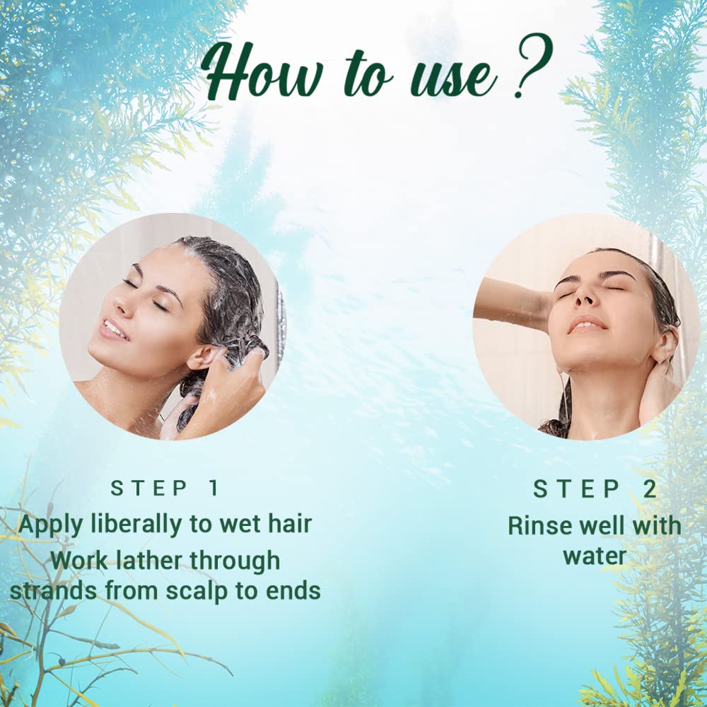 Biotique Bio Kelp Fresh Growth Protein Shampoo for Hair Growth - 800ml | Natural Hair Care for Thicker, Stronger Hair | Perfect for Daily Use & Damaged Hair Repair