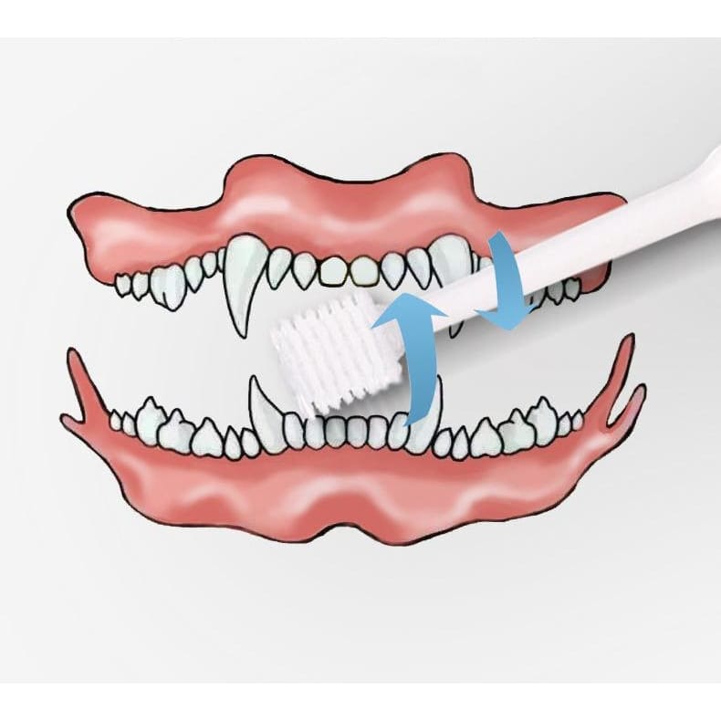 Kojima 360°C Roll Soft Pet Toothbrush for Dogs & Cats - Gentle Dental Care Brush for Small & Large Breeds - Perfect for Daily Teeth Cleaning & Oral Hygiene at Home